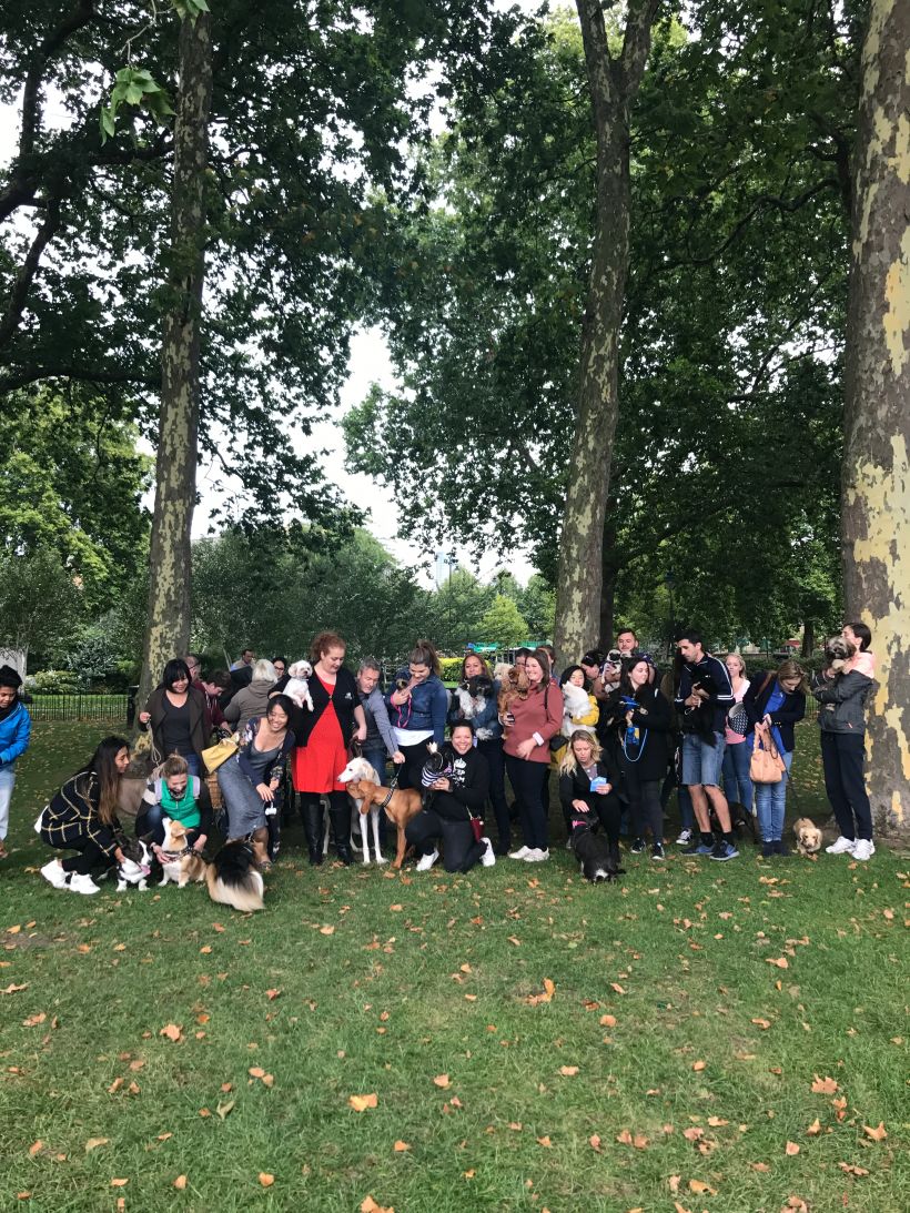WWIM with dogs included in London