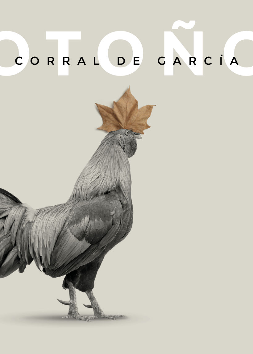 Otoño e Invierno en Corral de García (El Gallo y la Hoja; El Gallo y el Guante) 7