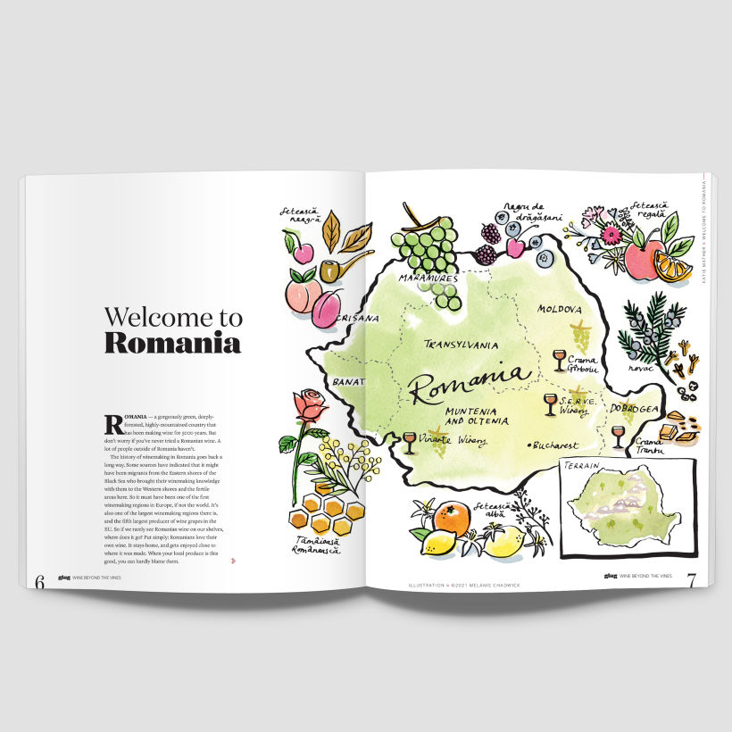 Romanian Wine Map 3