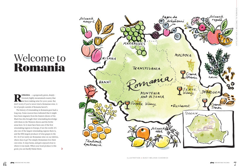 Romanian Wine Map 4