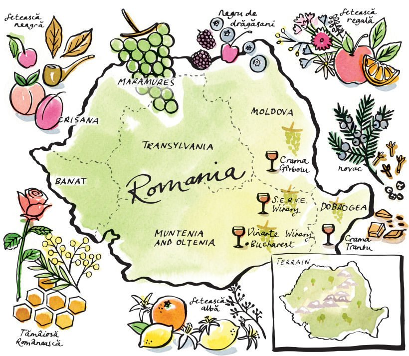 Romanian Wine Map 1