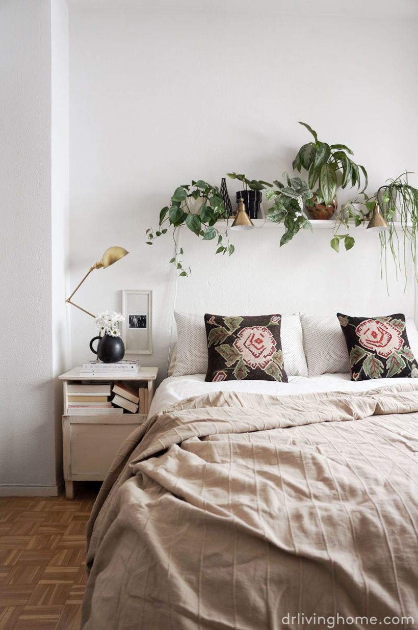 Plant lover bedroom 1