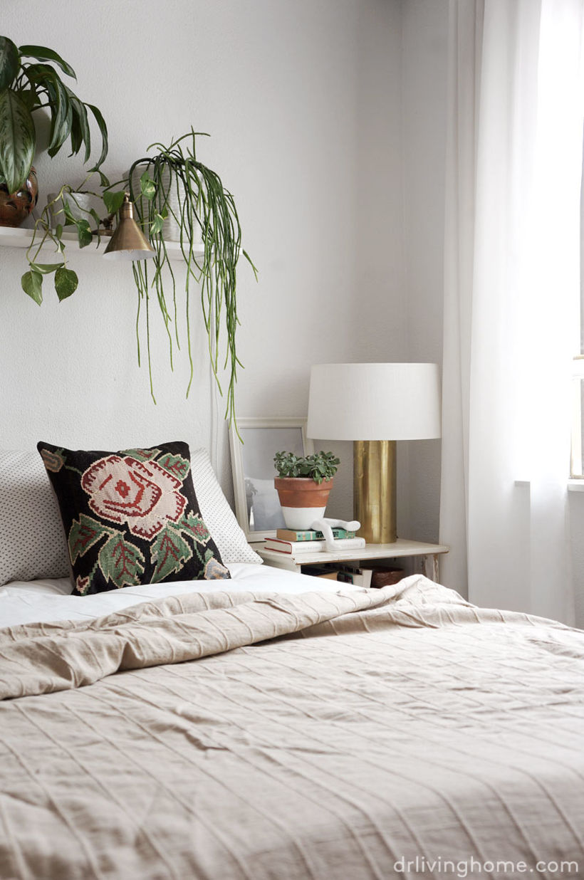 Plant lover bedroom 2