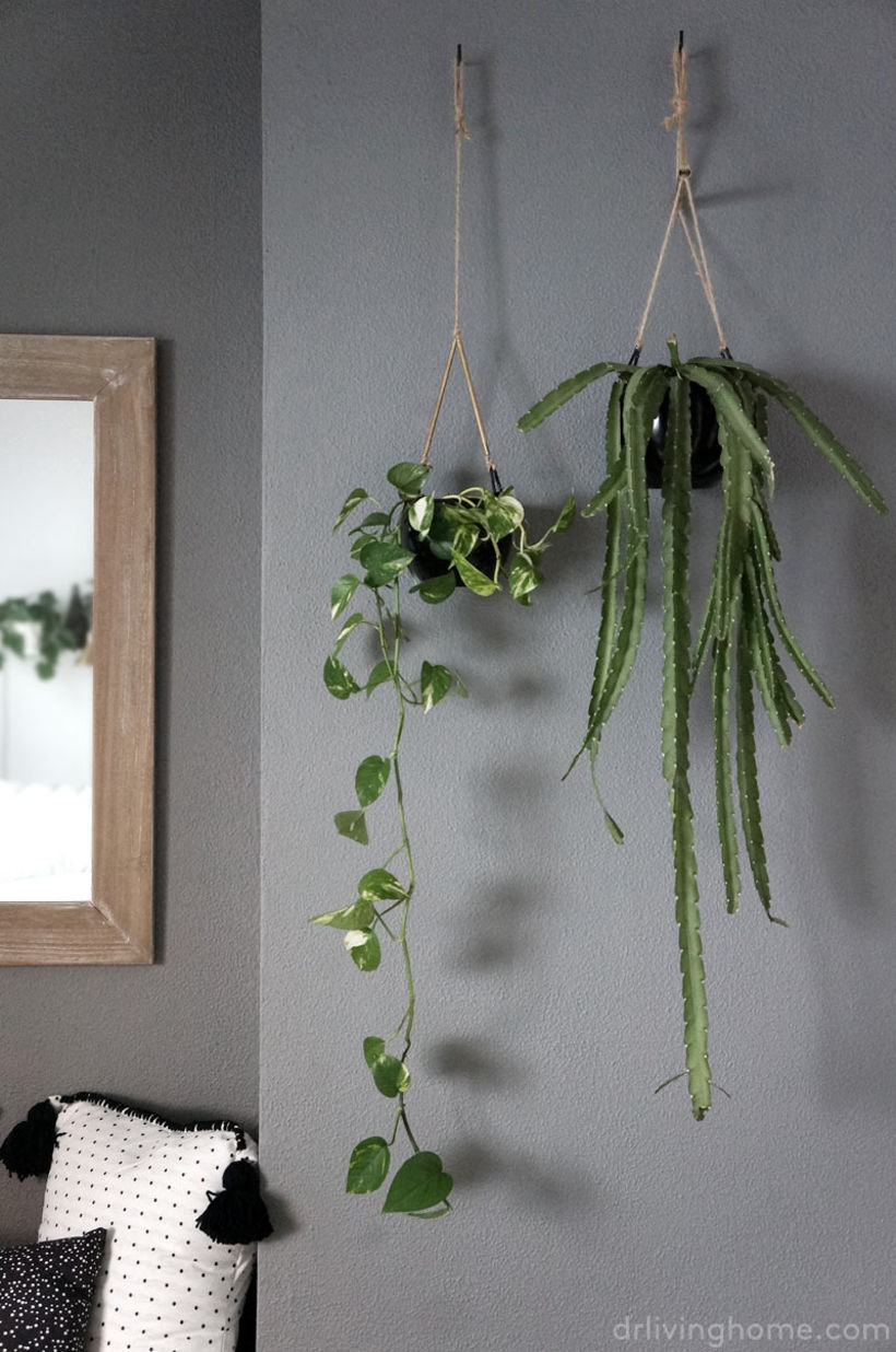 Plant lover bedroom 3