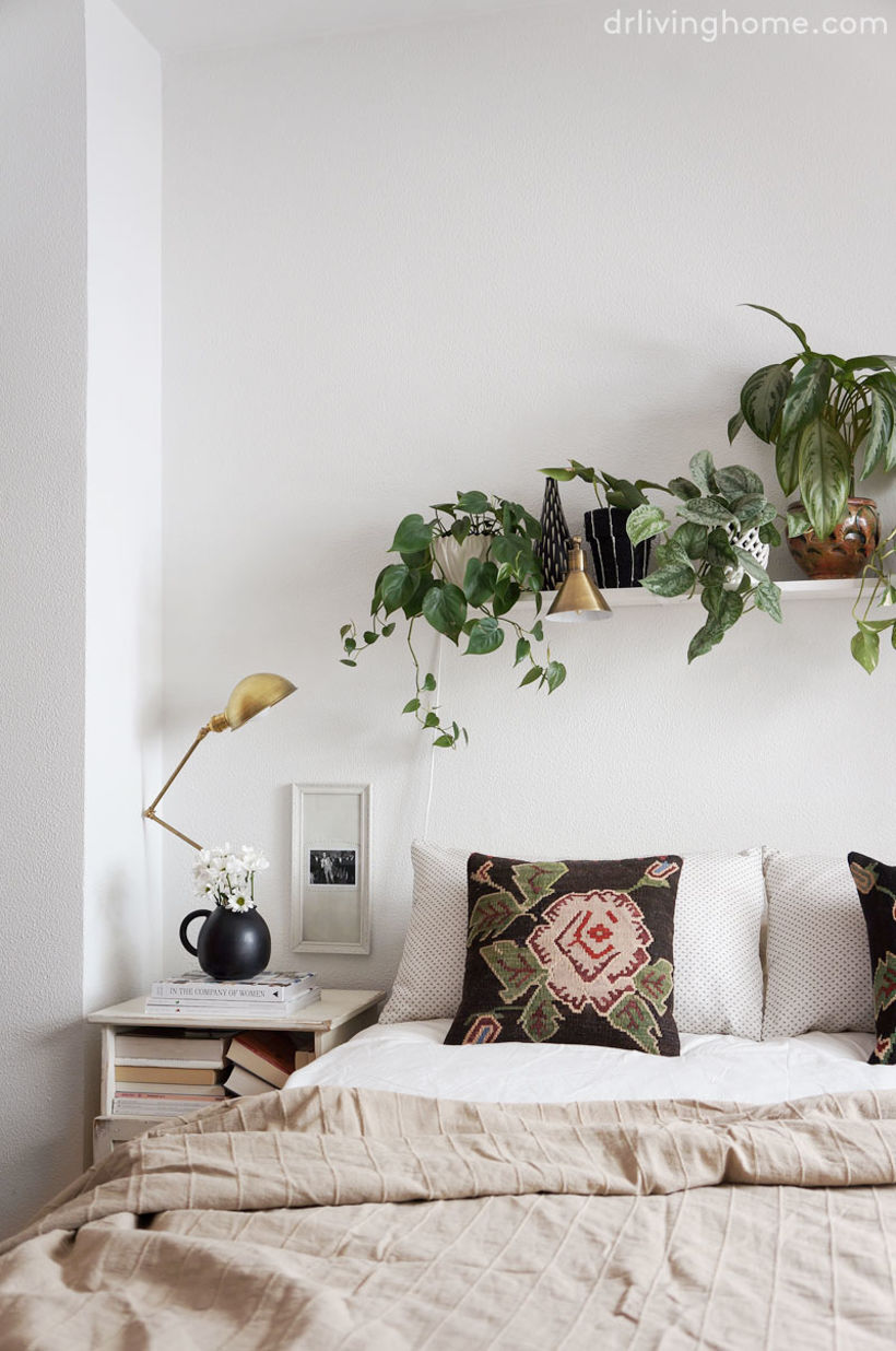 Plant lover bedroom 4