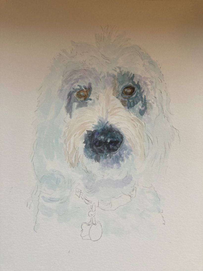 My project in Expressive Animal Portraits in Watercolor course 3