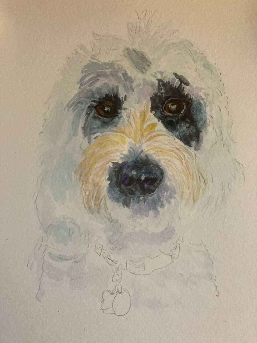 My project in Expressive Animal Portraits in Watercolor course 4