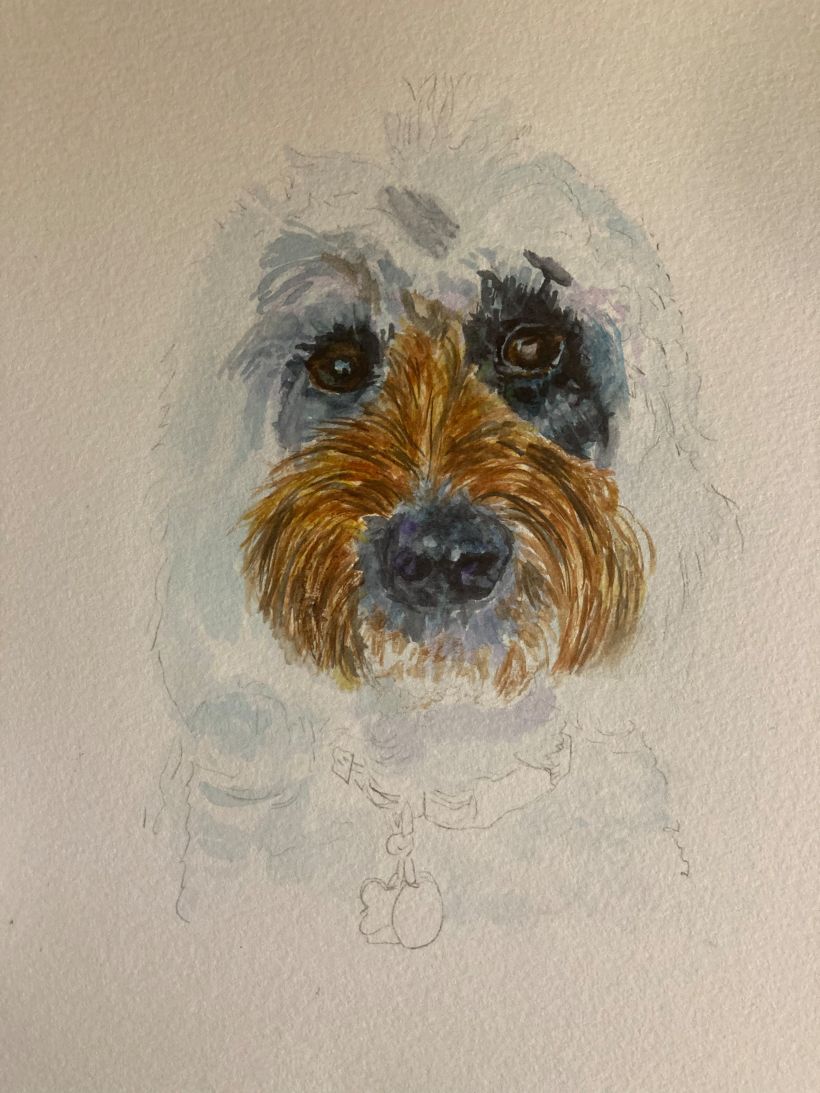 My project in Expressive Animal Portraits in Watercolor course 5