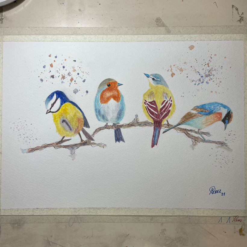 Mi Proyecto del curso: Acuarela artística para ilustración de aves 1