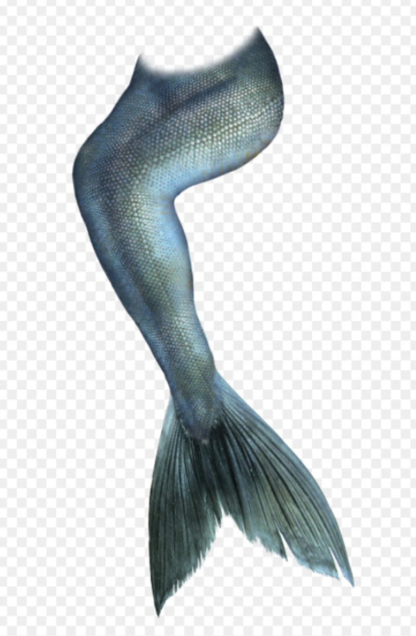 The mermaid tail is one of the featured resources.