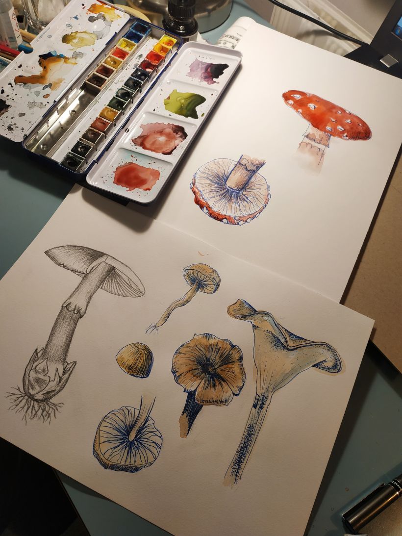 My project for course: Botanical Watercolor Sketchbook