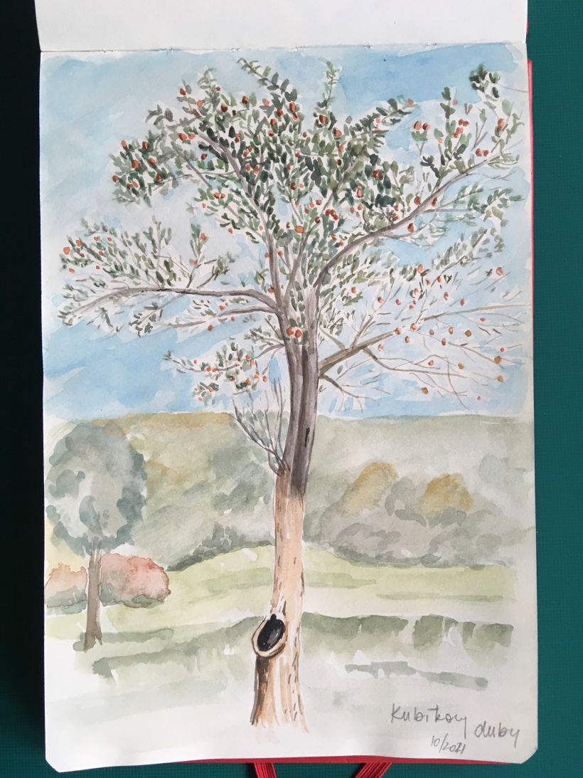 apple tree, watercolour