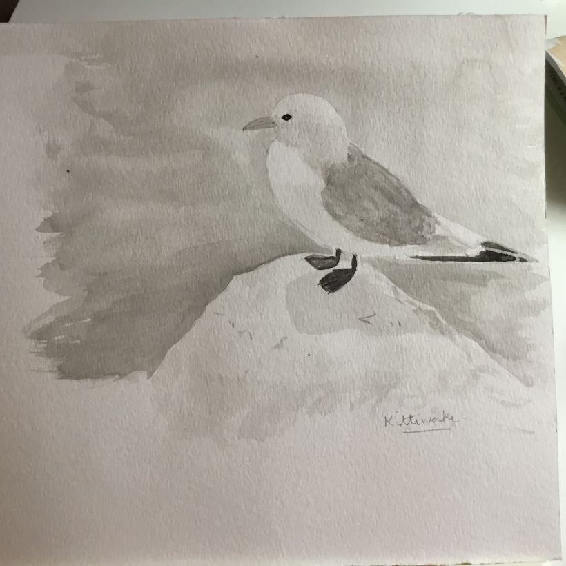 My project in Artistic Watercolor Techniques for Illustrating Birds course 5