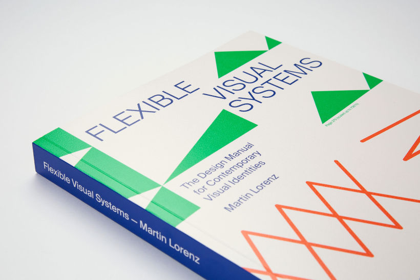 Flexible Visual Systems 2