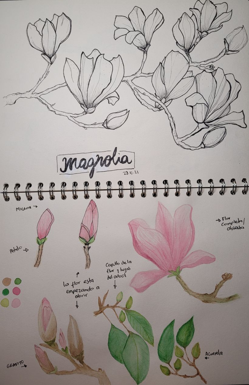 My project for course: Botanical Watercolor Sketchbook