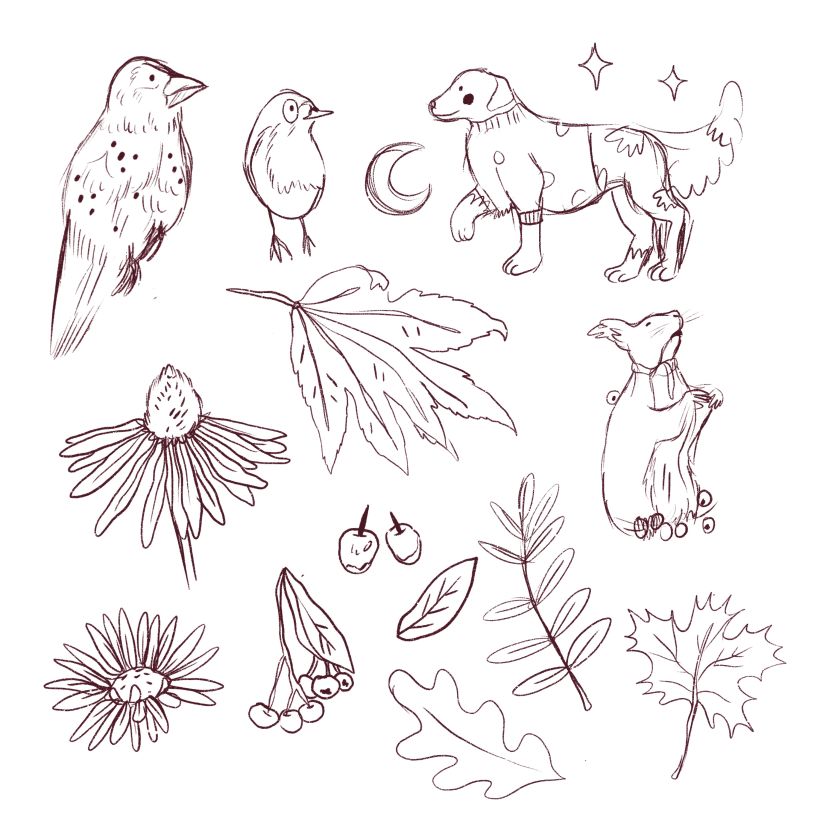 Mon projet du cours : Illustration numérique de motifs inspirés de la faune et la flore 4