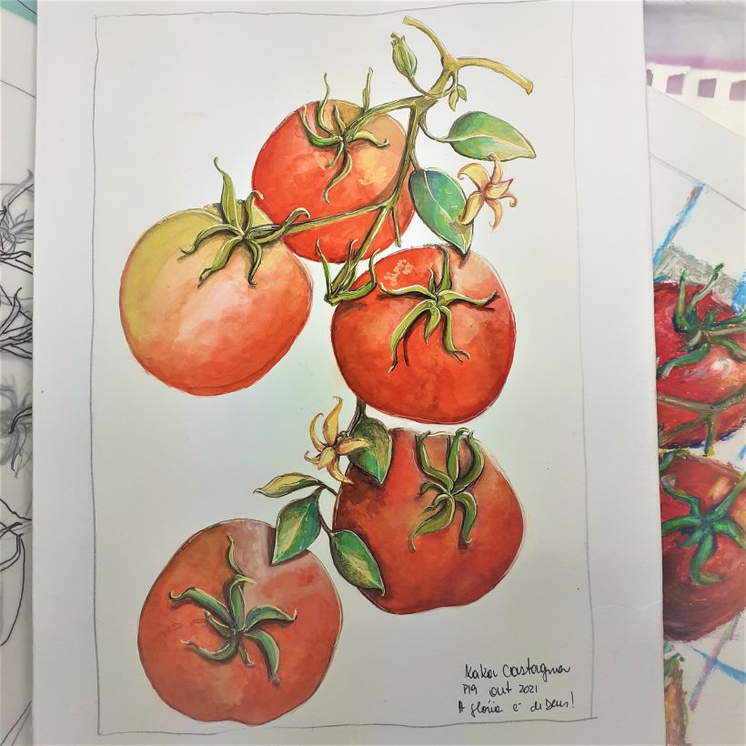 tomates em aquarela