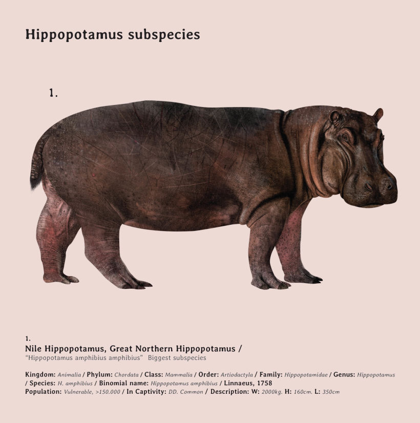 Especies, Enciclopedia ilustrada de todos lo mamíferos. 2