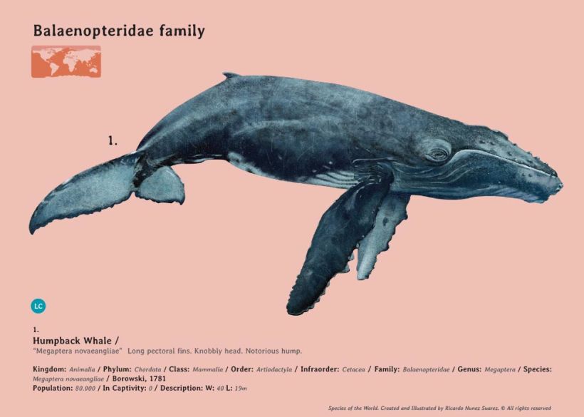 Especies, Enciclopedia ilustrada de todos lo mamíferos. 5