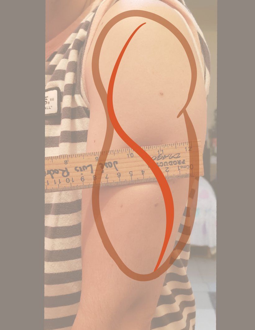 Proyecto final: "Tatuaje naturalista: del trazo a la piel" 4