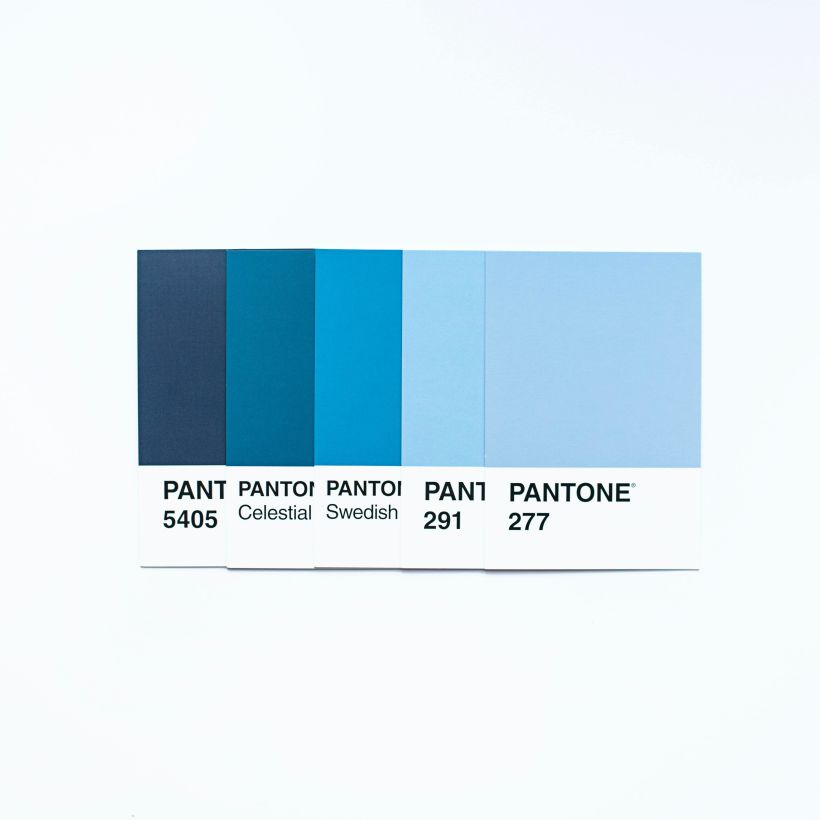 ¿Sabes cómo se elige el color Pantone del año?
