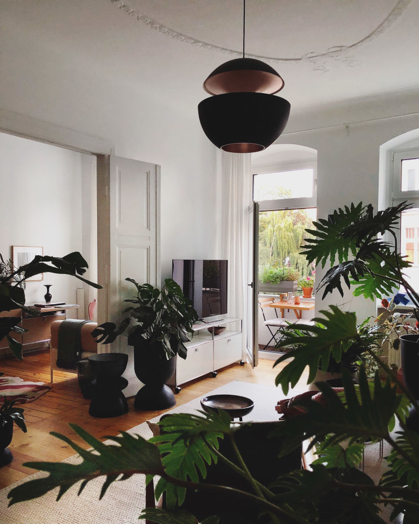 Igor's urban jungle apartment in Berlin 3