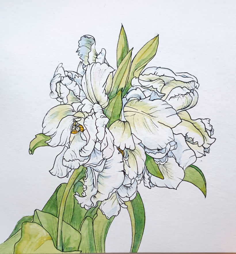 My project in Botanical Sketchbooking: A Meditative Approach course 6