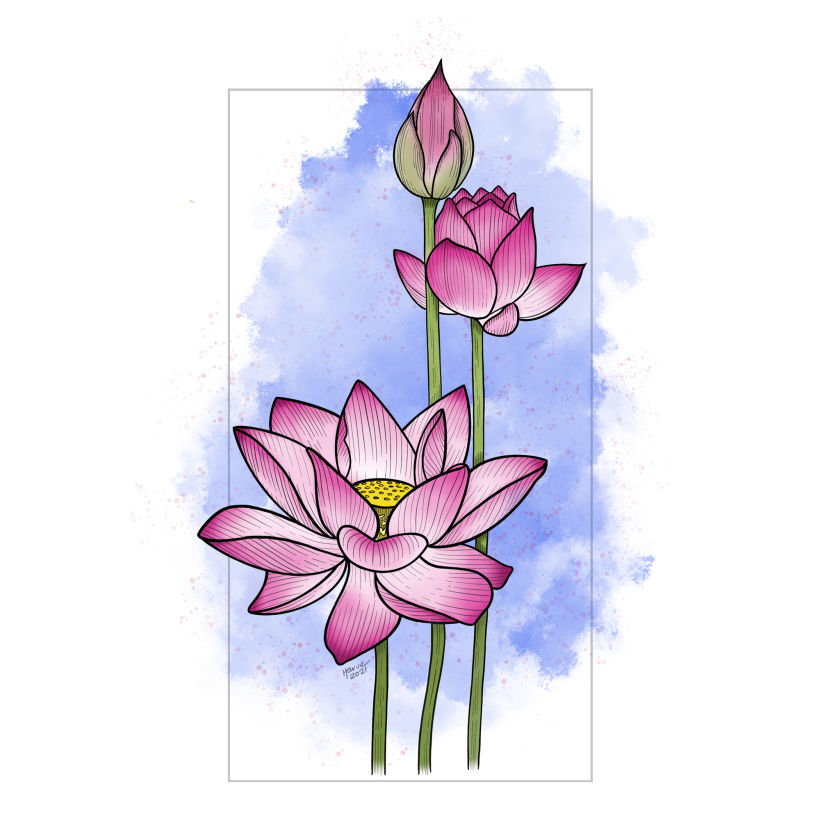 How To Draw Lotus Flower - Lotus Flower Drawing Transparent PNG - 680x678 -  Free Download on NicePNG
