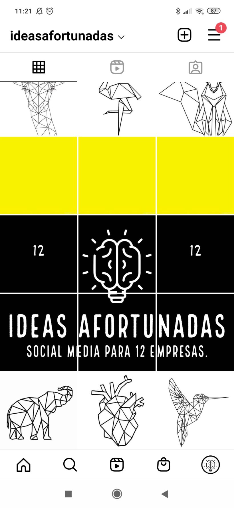 Mi Proyecto del curso: IDEAS AFORTUNADAS (publicidad consciente) 8