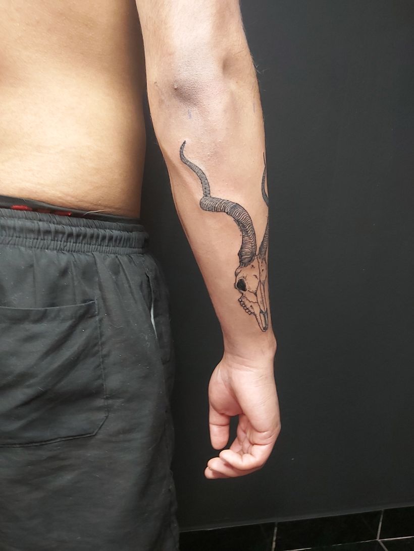 Mi Proyecto del curso: Tatuaje para principiantes 2