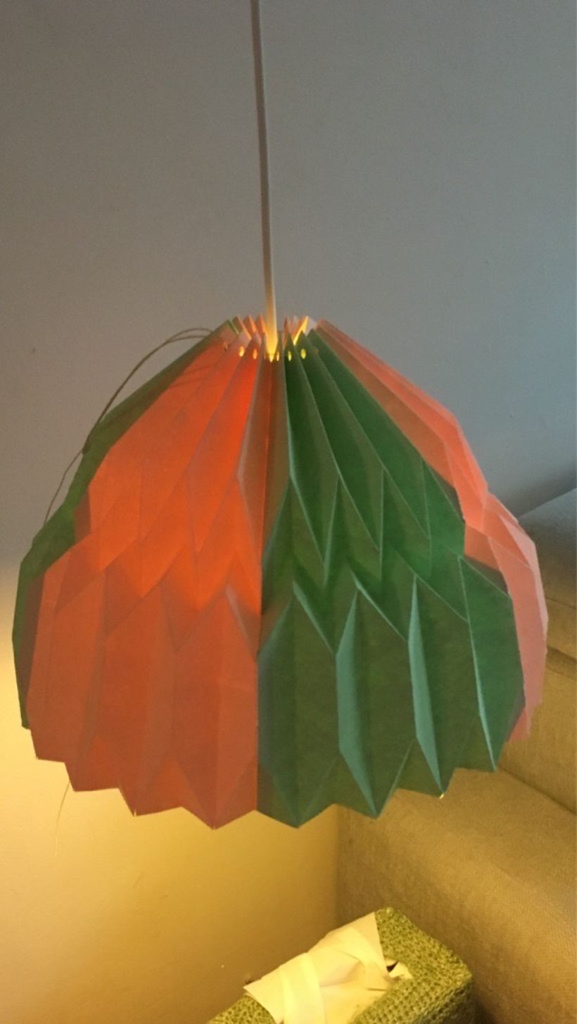 My very first lampshade! 4