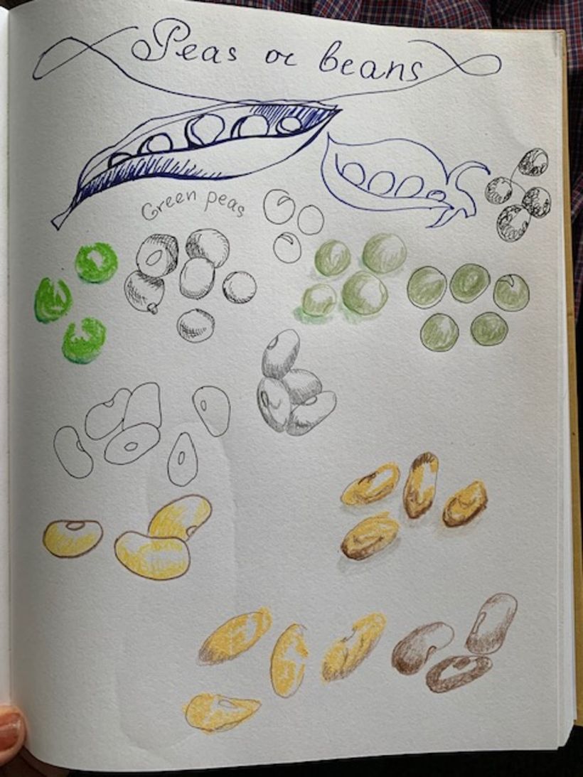 My project in Illustrated Recipes: Making Delicious Art course 7