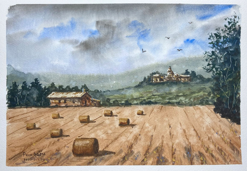 Campo de trigo en Castilla, España.