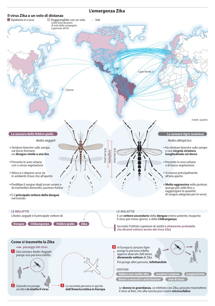 Zika Virus Threat and Transmission 4