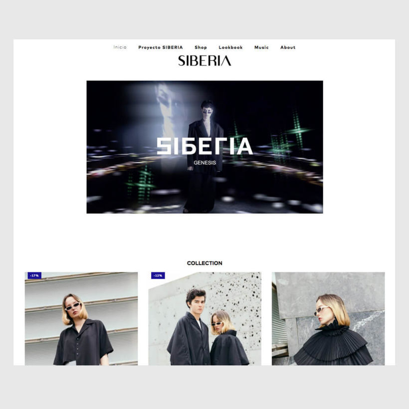 Proyecto Siberia - Actualización pagina web
