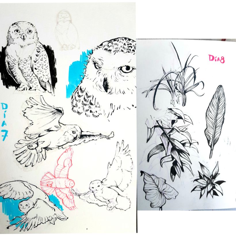 Mi Proyecto del curso: Sketching diario como inspiración creativa 7