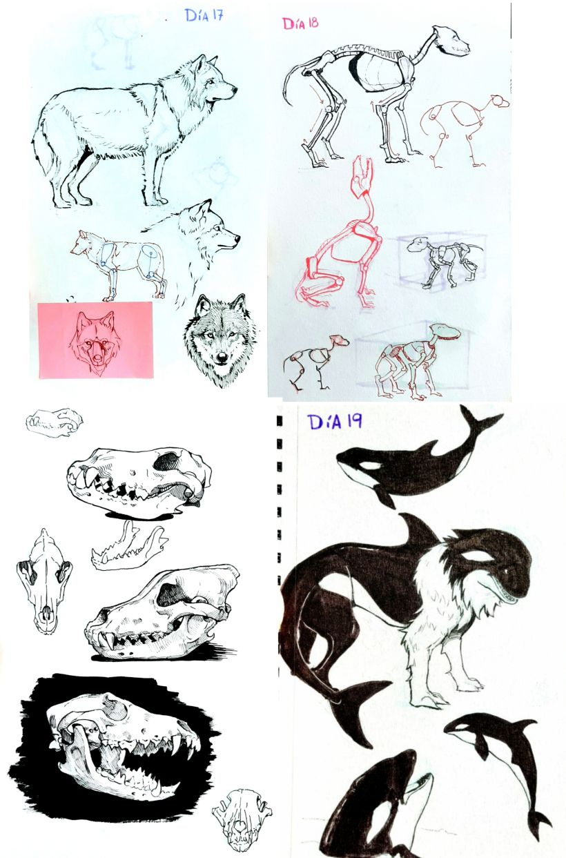 Mi Proyecto del curso: Sketching diario como inspiración creativa 14