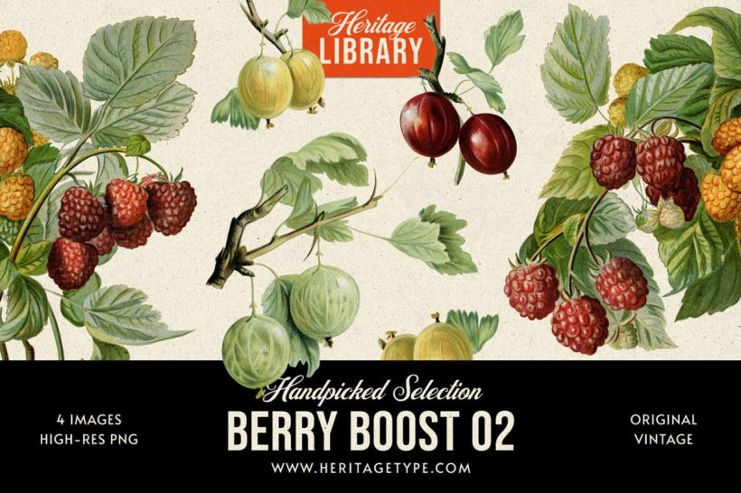 Berry Boost 02 by Heritage Library