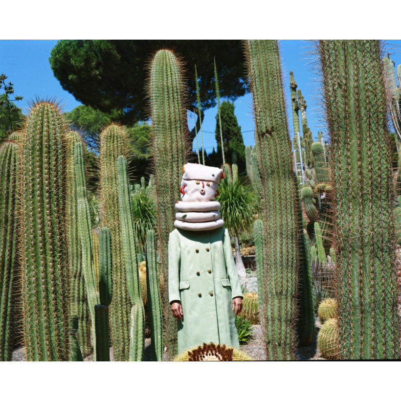 Saco entre cactus. Foto de Daniela Carvalho