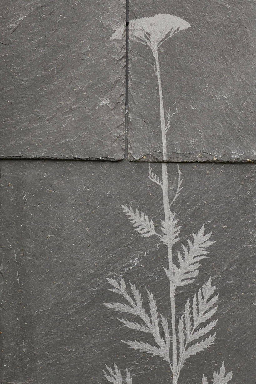 Salvaged and engraved slate adorning the exterior of a garden studio. Photo by Carmel King