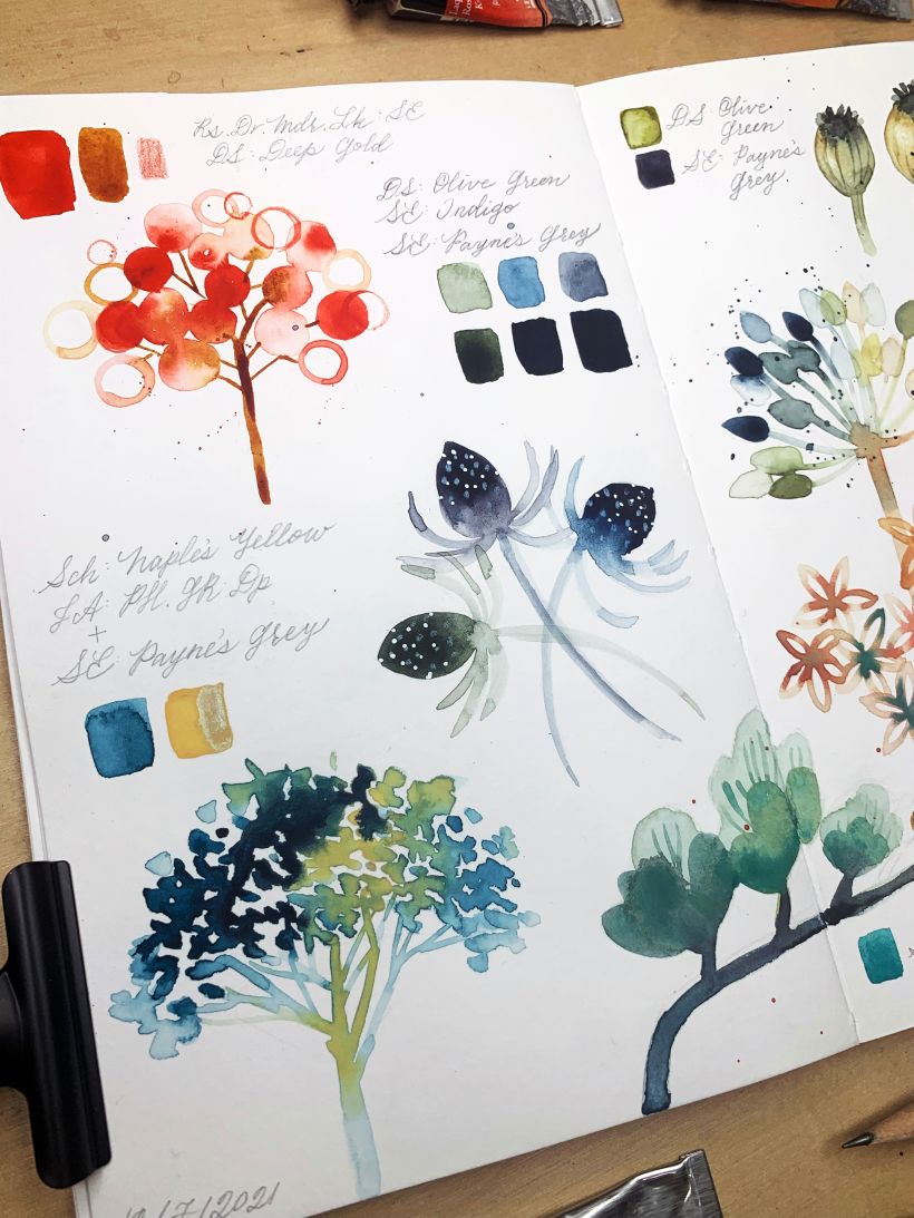 Watercolor Sketchbook Ideas for Beginners 