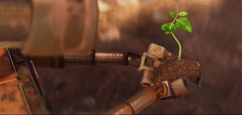 A planta é a primeira aparição do verde em 'Wall-E'. Crédito da imagem: Disney/Pixar