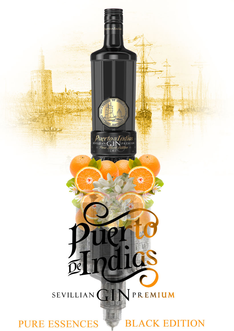 Proyecto para campaña de publicidad preseleccionado. Puerto de Indias (sevillian gin premium). 3