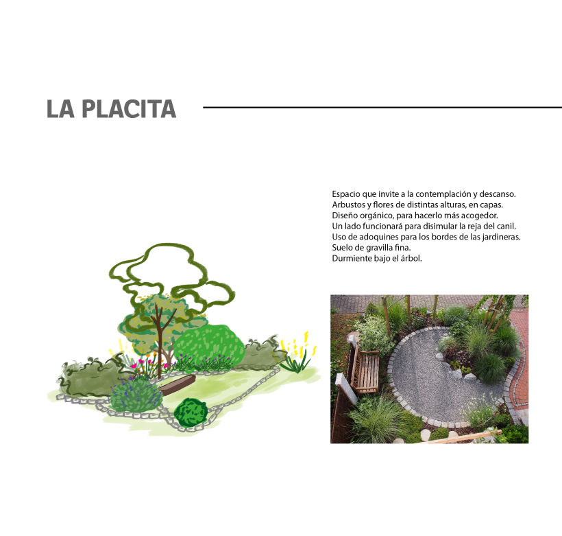 Mi Proyecto del curso: Diseño de jardines y espacios verdes para tu casa 8