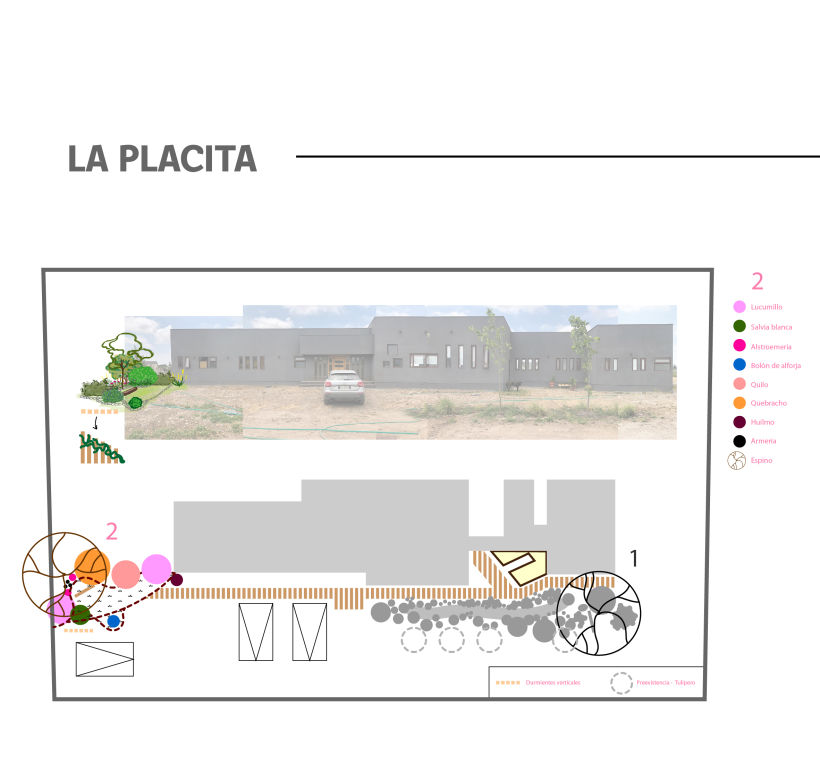 Mi Proyecto del curso: Diseño de jardines y espacios verdes para tu casa 9