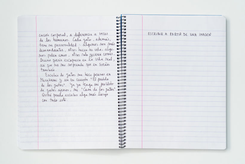 Mi Proyecto del curso: Gimnasio de escritura: de la hoja en blanco a la práctica cotidiana 13