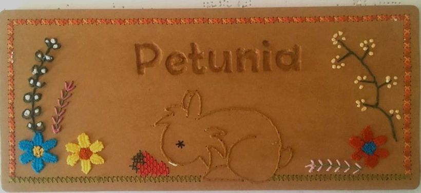 Petunia (así se llama la conejita de mi hija)
