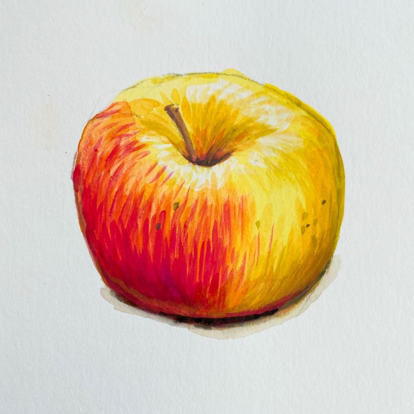 Die Apfel-Übung, zweiter Versuch: in Farbe