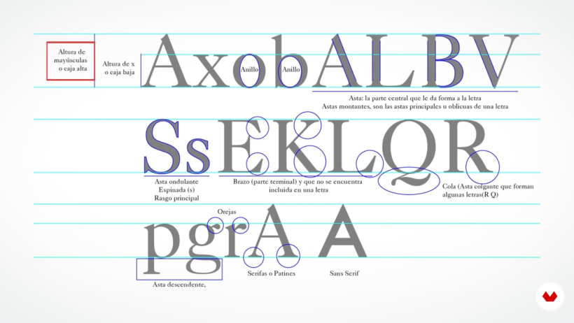 Aprenda conceitos básicos de tipografia como anatomia das letras e suas estruturas