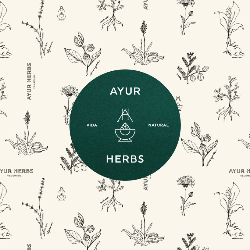 Branding "Ayur Herbs" 2